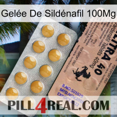 Gelée De Sildénafil 100Mg 41